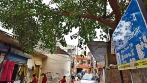 Carterpuri Village, Gurgaon: Facts, History & Connectivity