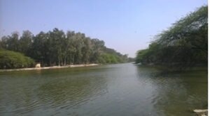 Dallupura Village, Delhi: Facts, History & Connectivity