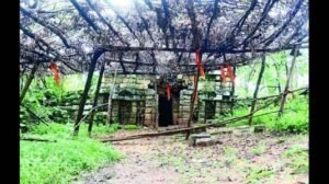 Kothur Village, Telangana: Facts, History & Connectivity