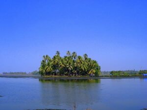 Kumbalangi Village, Kochi: Facts, History & Connectivity