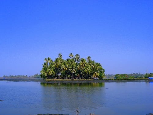 Kumbalangi Village, Kochi