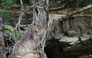 Mawlynnong Village, Meghalaya: Facts, History & Connectivity