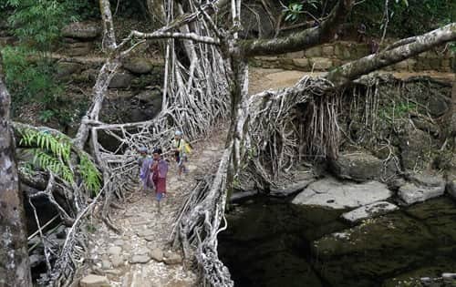 Mawlynnong Village, Meghalaya