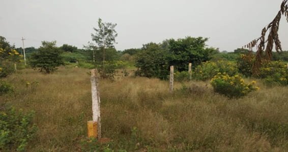 Thorrur Village, Hyderabad: Facts, History & Connectivity
