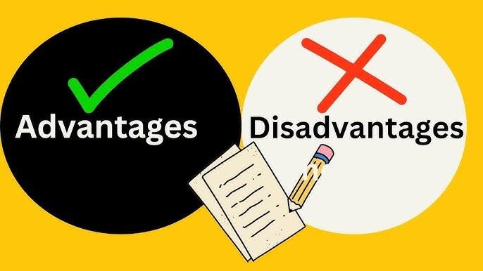 Franchise Business Advantages and Disadvantages